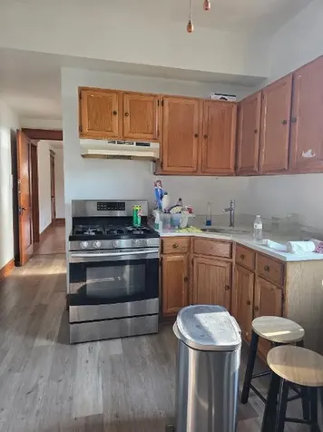 931 West 31st Street Chicago IL 60608