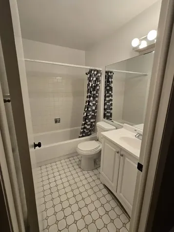 314 Silverwood Court Schaumburg IL 60193