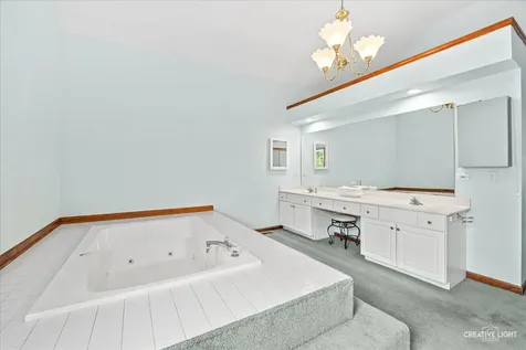 1803 River Ridge Circle Naperville IL 60565