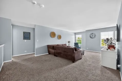 162 Hibiscus Lane Elgin IL 60124