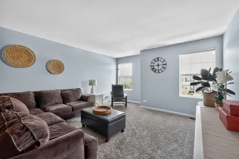 162 Hibiscus Lane Elgin IL 60124