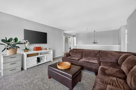 162 Hibiscus Lane Elgin IL 60124