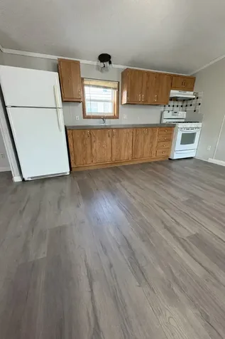 716 Treeview Lane Round Lake Park IL 60073