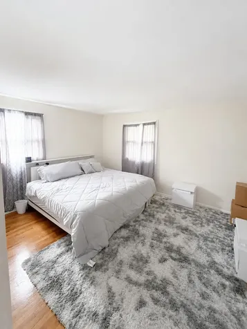 21729 Gailine Avenue Sauk Village IL 60411