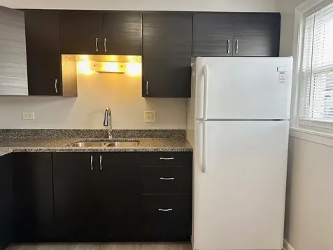 9709 Lorraine Drive Countryside IL 60525