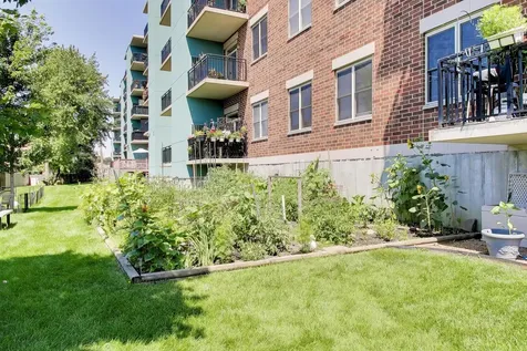 9355 Irving Park Road Schiller Park IL 60176