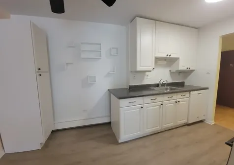 8905 Knight Avenue Des Plaines IL 60016