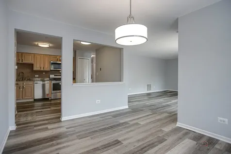 2113 Ammer Ridge Court Glenview IL 60025