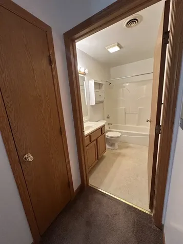 465 North School Street Diamond IL 60416