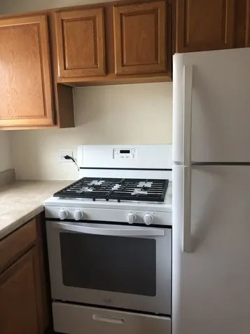 6130 North Seeley Avenue Chicago IL 60659