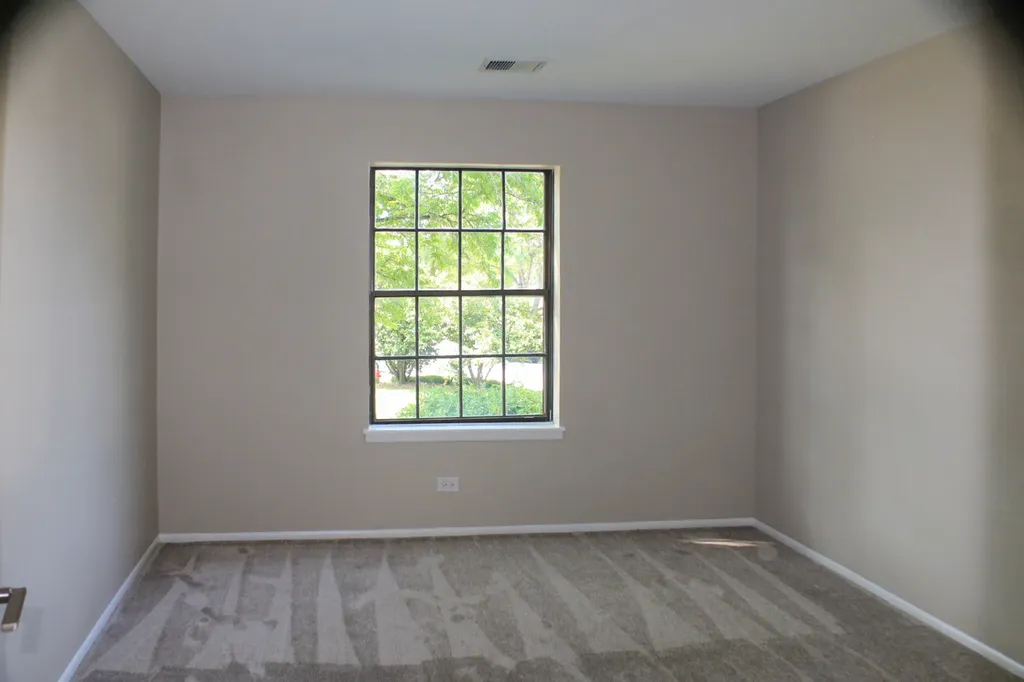 317 Woodbury Court Schaumburg IL 60193