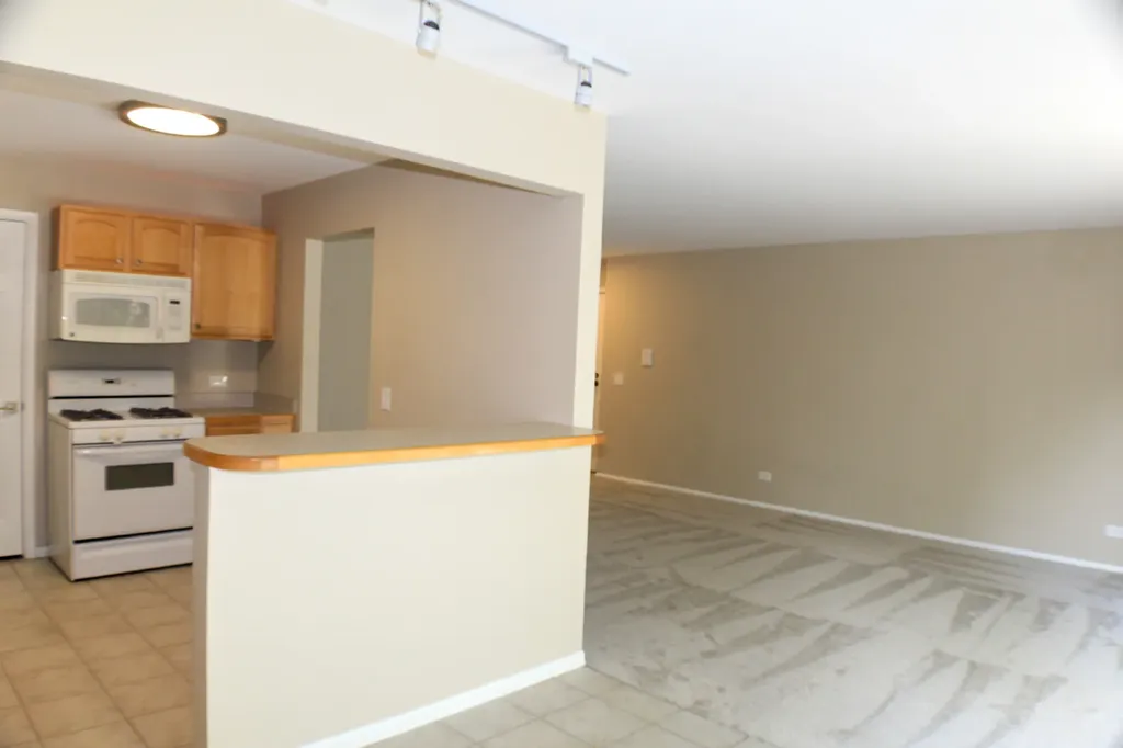 317 Woodbury Court Schaumburg IL 60193