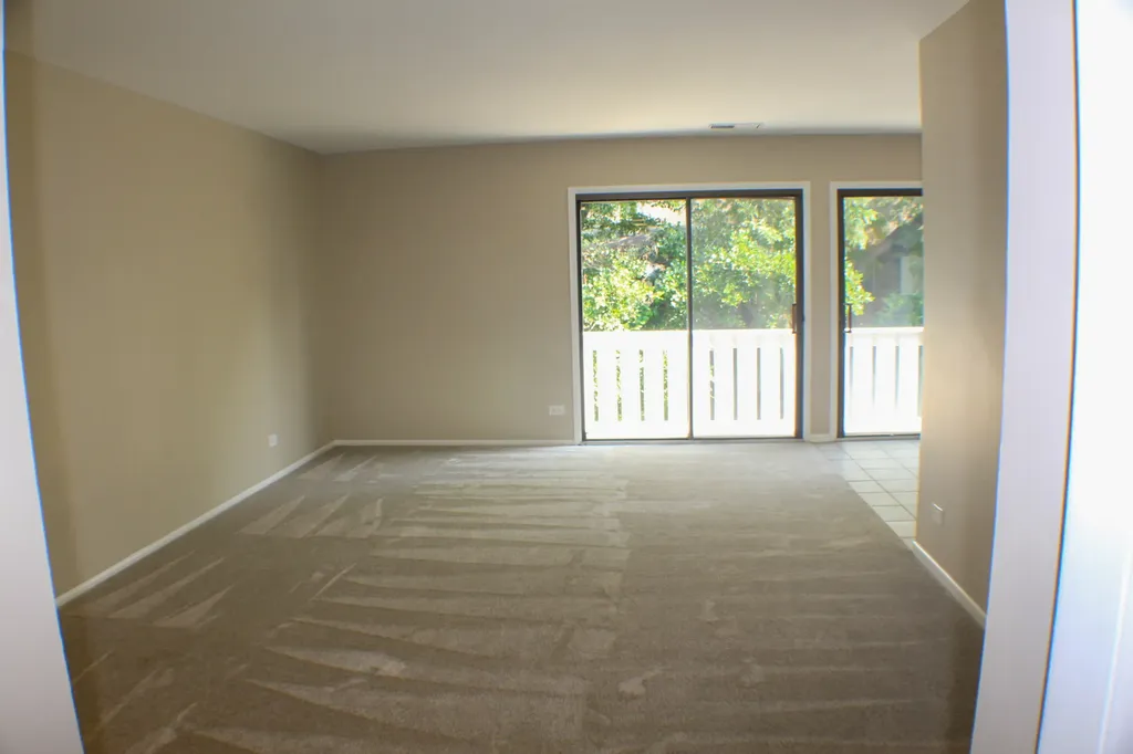 317 Woodbury Court Schaumburg IL 60193
