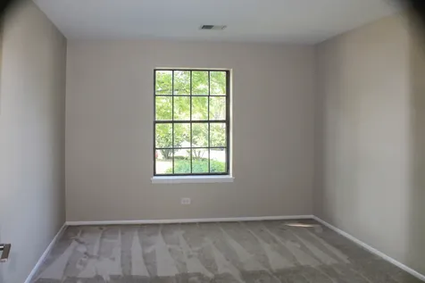 317 Woodbury Court Schaumburg IL 60193