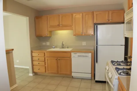 317 Woodbury Court Schaumburg IL 60193
