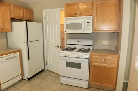 317 Woodbury Court Schaumburg IL 60193