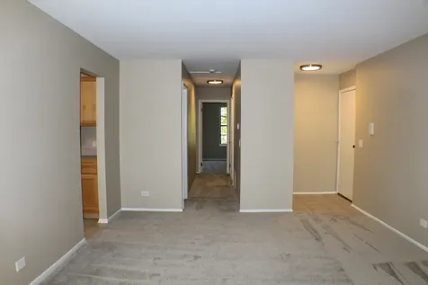 317 Woodbury Court Schaumburg IL 60193