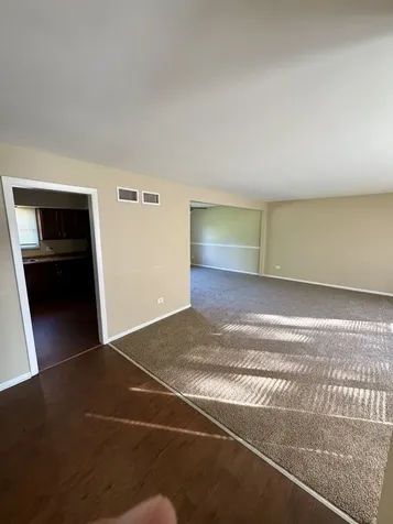 22421 Arquilla Drive Richton Park IL 60471