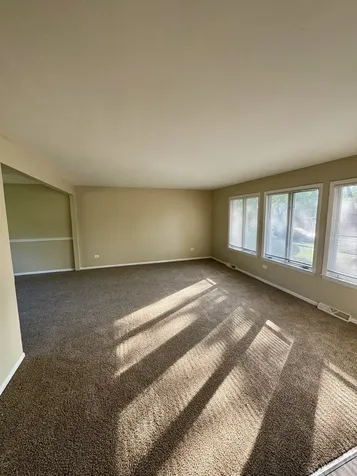 22421 Arquilla Drive Richton Park IL 60471