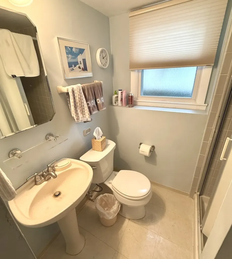 127 East Traube Avenue Westmont IL 60559