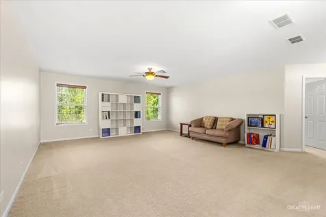 390 Bloomfield Circle E Oswego IL 60543
