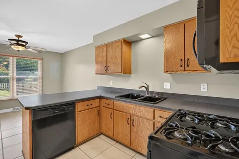 335 Elizabeth Drive Coal City IL 60416