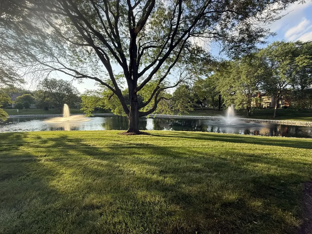 227 Spring Creek Circle Schaumburg IL 60173