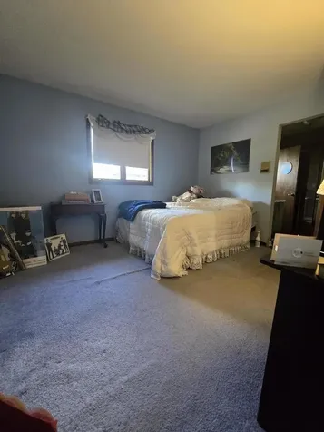 1118 Moorland Avenue Shorewood IL 60404