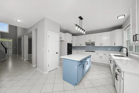 1379 West Deer Court Palatine IL 60067