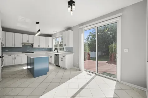 1379 West Deer Court Palatine IL 60067