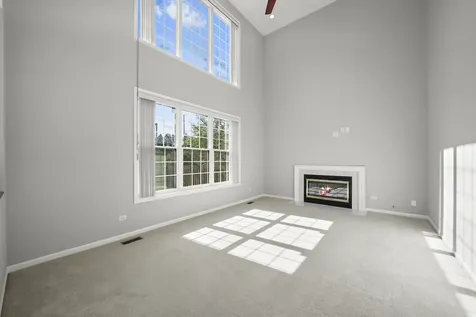 1379 West Deer Court Palatine IL 60067
