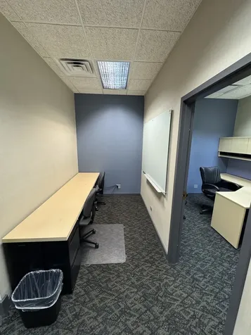 1016 Lunt Avenue Schaumburg IL 60193