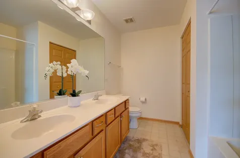 355 Grape Vine Trail Oswego IL 60543