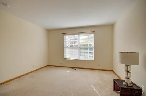 355 Grape Vine Trail Oswego IL 60543
