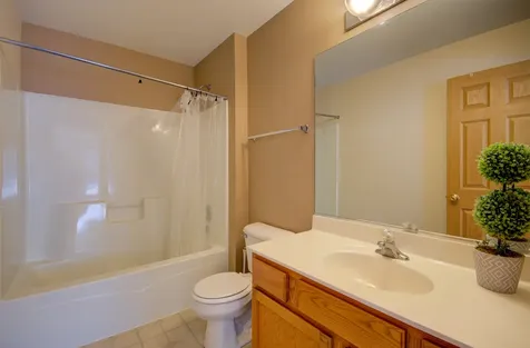 355 Grape Vine Trail Oswego IL 60543