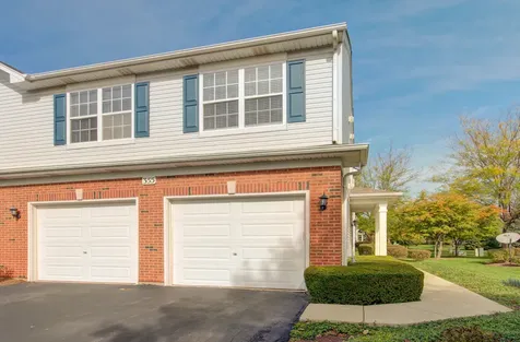 355 Grape Vine Trail Oswego IL 60543