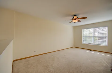 355 Grape Vine Trail Oswego IL 60543