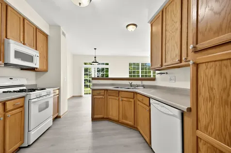 355 Grape Vine Trail Oswego IL 60543