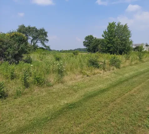 104 Kyle Lane Kirkland IL 60146