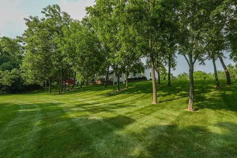 6174 Tulip Lane Grant Park IL 60940