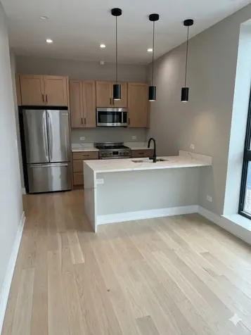 1073 West Polk Street Chicago IL 60607