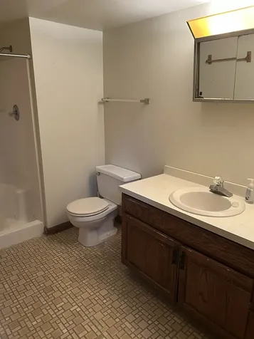 20148 Cypress Avenue Lynwood IL 60411