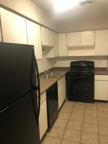 205 West Miner Street Arlington Heights IL 60005
