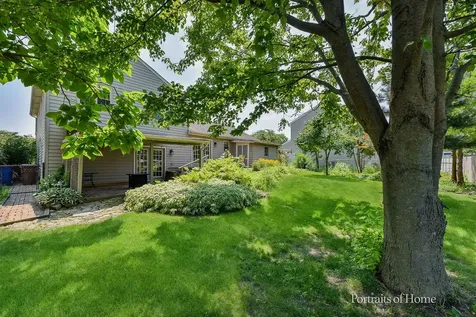 20236 Pepperwood Court Frankfort IL 60423