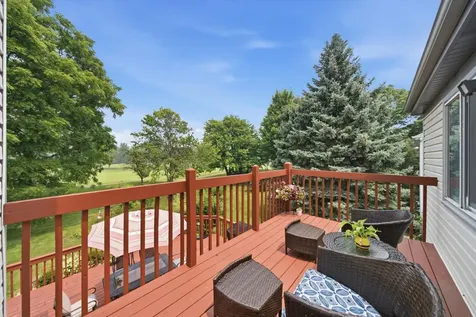 68 Chestnut Terrace Buffalo Grove IL 60089