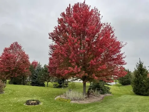 29 Glacier Circle South Barrington IL 60010