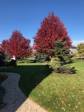 29 Glacier Circle South Barrington IL 60010
