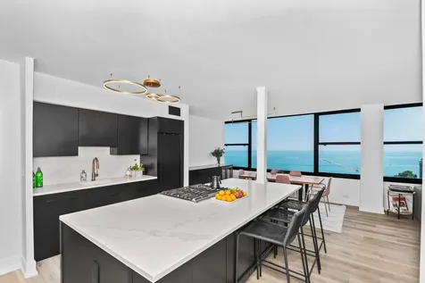 1000 North Lake Shore Drive Chicago IL 60611