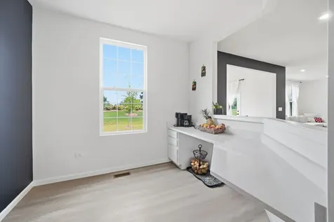 24618 West Alexis Lane Plainfield IL 60585