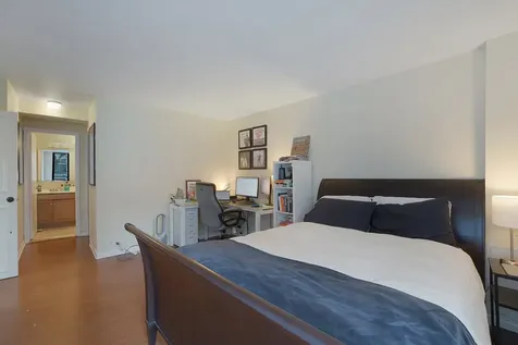 1555 North Sandburg Terrace Chicago IL 60610
